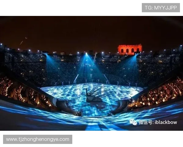 场上传奇：那些值得紧盯的顶级身影